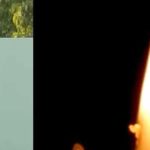 ΘΡΗΝΟΣ – ΠΕΘΑΝΕ Ο ΚΩΣΤΑΣ ΠΑΠΑΝΩΤΑΣ