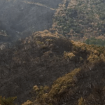 «Επίδομα μετακόμισης» έως 10.000 ευρώ – Ποιοι το δικαιούνται