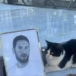 ΣΥΓΚΙΝΗΣΗ για τη Μαρία Μαζωνάκη: Αυτό αποφάσισε να κάνει για τον μικρό Μάιλο – «Είναι η ψυχούλα του αδερφού μου, το νιώθω»