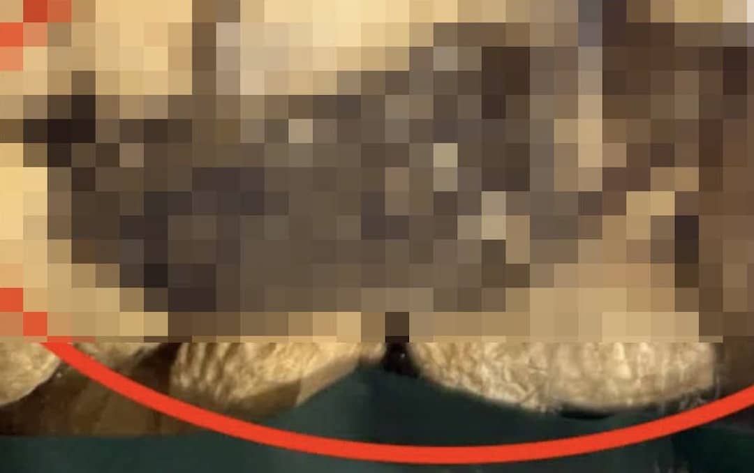 Ποντίκι σε σφραγισμένη συσκευασία με ξηρούς καρπούς ιδιωτικής ετικέτας πασίγνωστου σούπερ μάρκετ